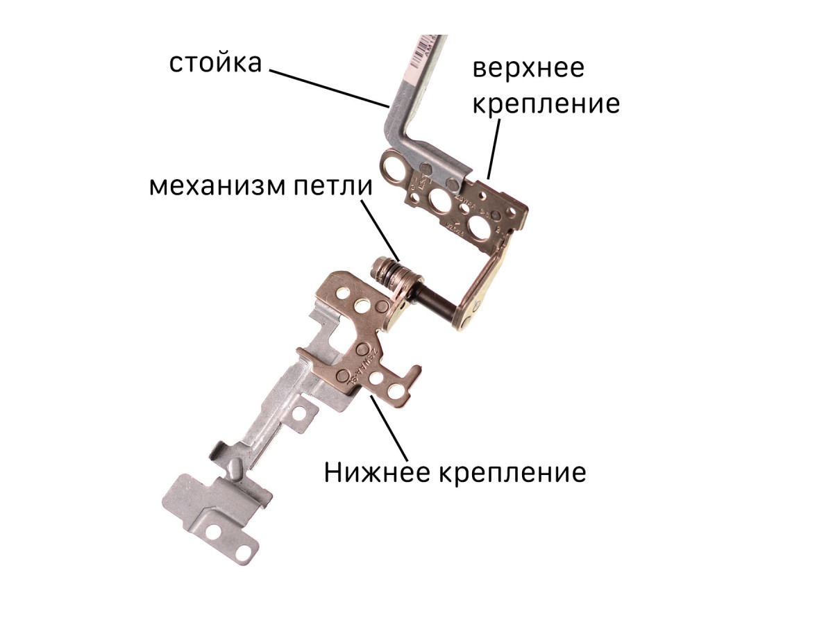 Шарнирный механизм (петли). Поломка корпуса ноутбука.