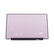 Матрица NE140QDM-N6A V18.1 14" глянцевая (2.5K 2560x1600, 300 cd/m², IPS) 16.7M 100% sRGB , 30pin, 14.0", Гленцевое, 2560×1600, LED, Slim, 90 Гц, 307